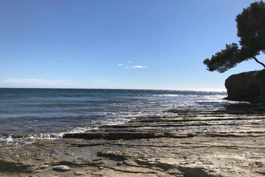 Les Terrasses Du Liouquet T2, Piscine , Parking , Mer A 150 M La Ciotat Dış mekan fotoğraf